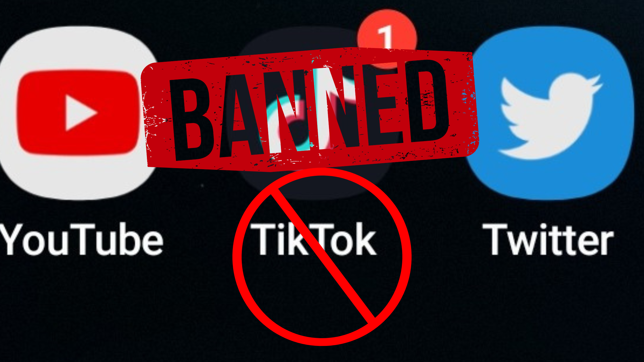 TikTok to be Banned? A Creator’s View